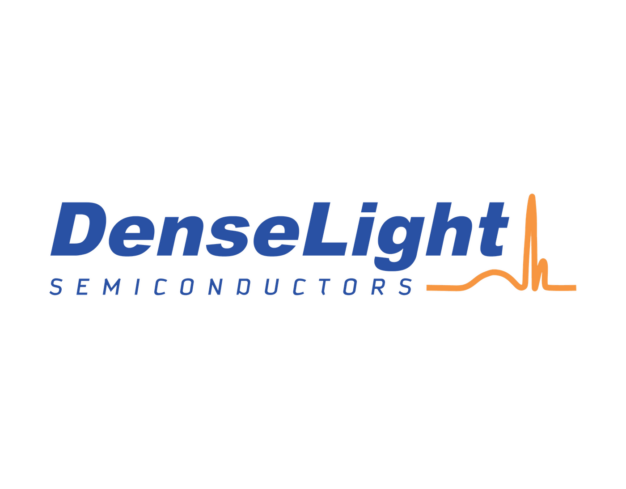 dls logo padded